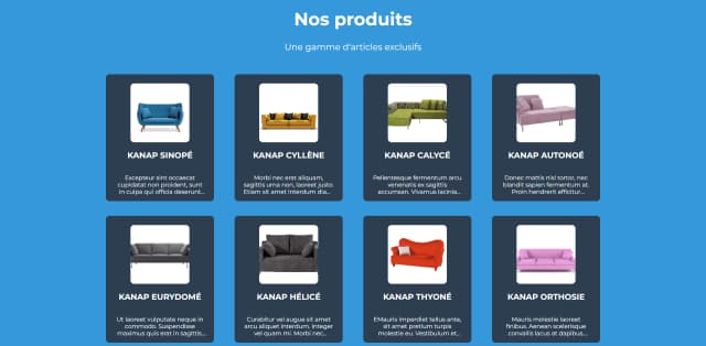 Screenshoot number 1 of Kanap - Fourth project for OpenClassrooms